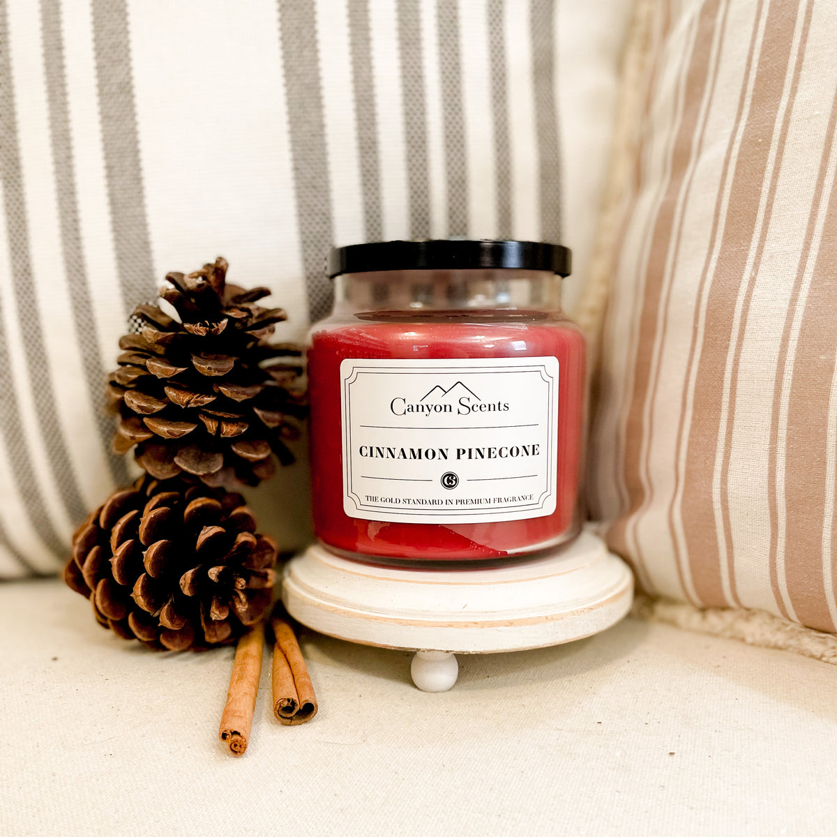 Gold Canyon Cinnamon 2024 Pinecones Candle 26oz