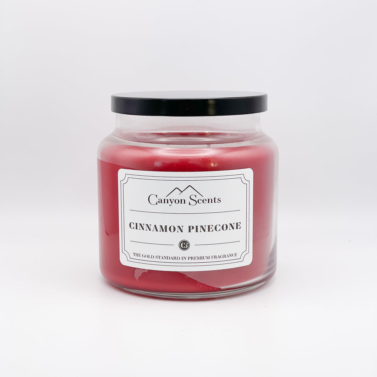 Gold store Canyon Cinnamon Pinecones Candle 26oz