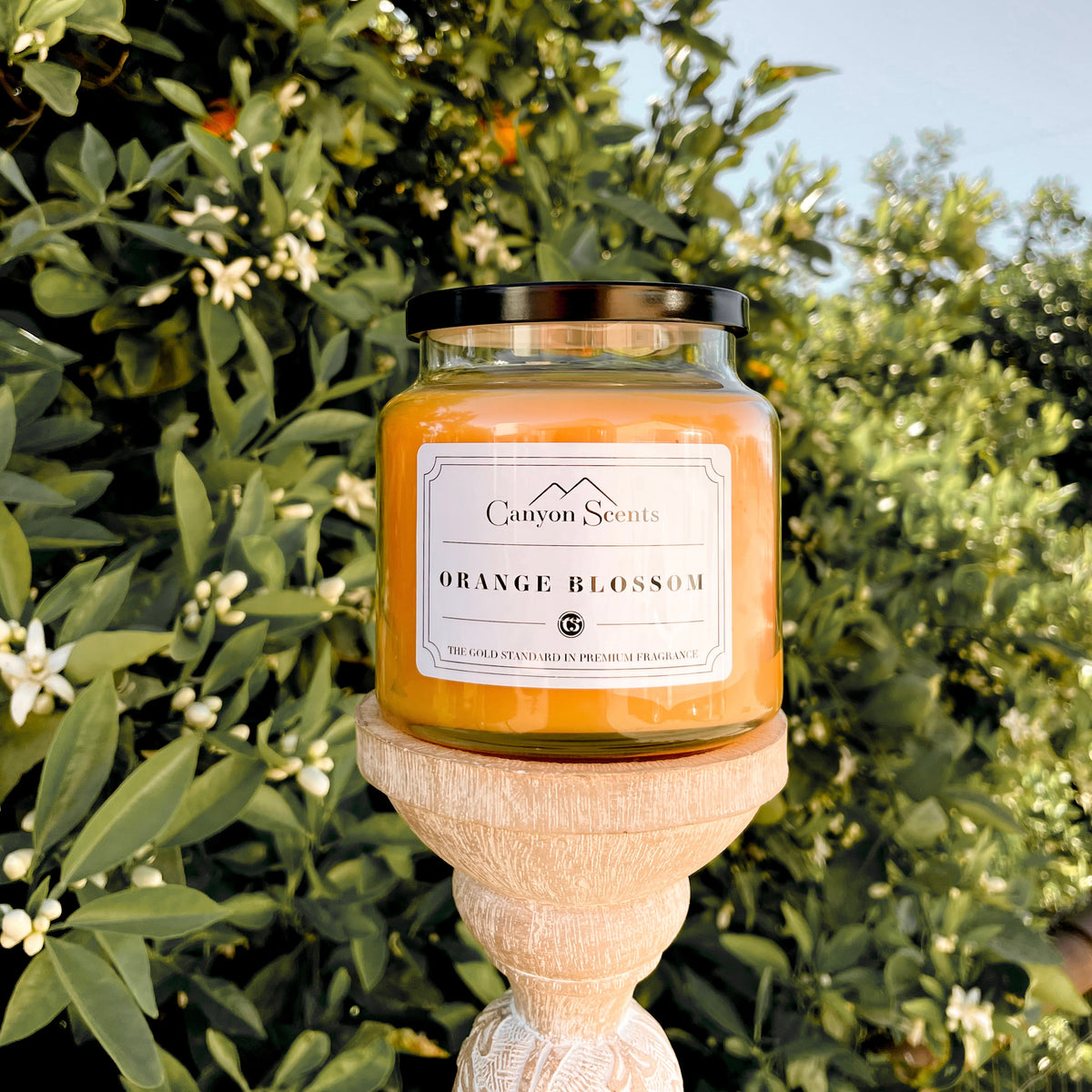 Orange Blossom - Canyon Scents Gold Canyon Candles